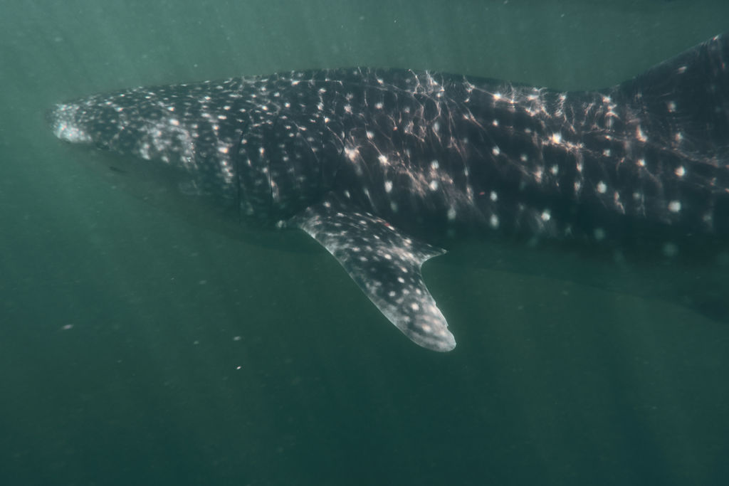 aa78dca7-0da0-4e4b-b166-7379fda81efb