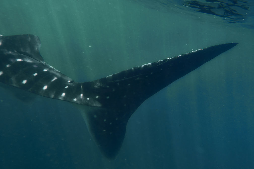 aa78dca7-0da0-4e4b-b166-7379fda81efb