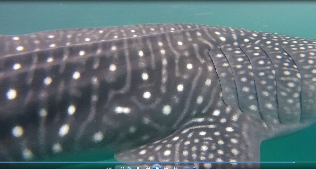 dc1c0b5e-89a6-4a39-b36f-5e8616ec8409