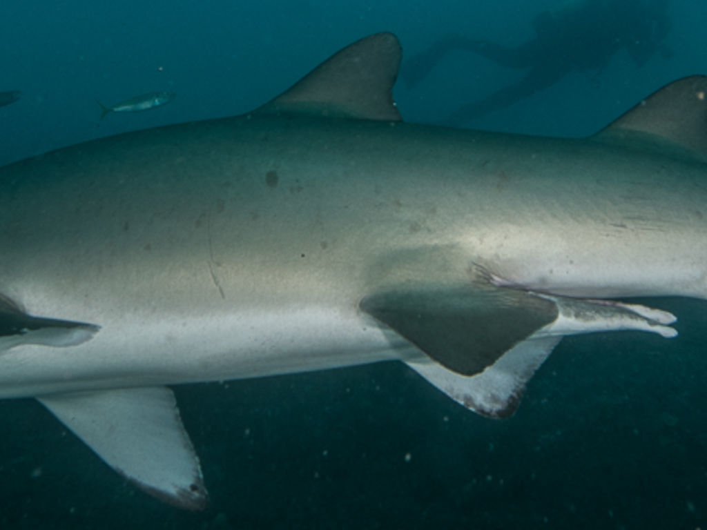 a955f369-783e-4dba-acb3-46ce9092a3d3