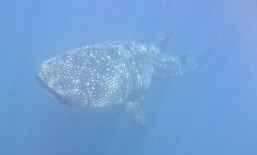 74e8dd16-2766-4571-bff0-6c7614a556f3