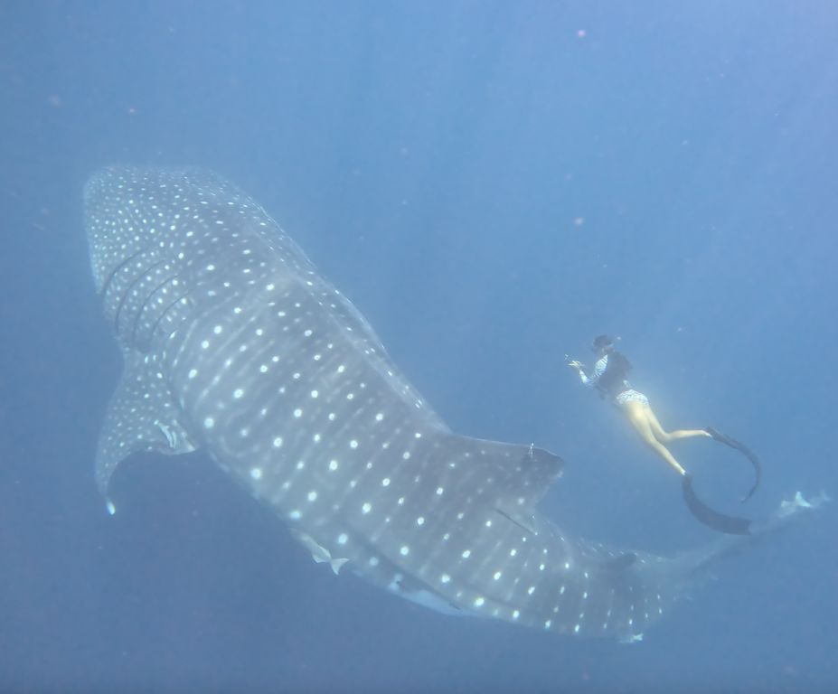 74e8dd16-2766-4571-bff0-6c7614a556f3