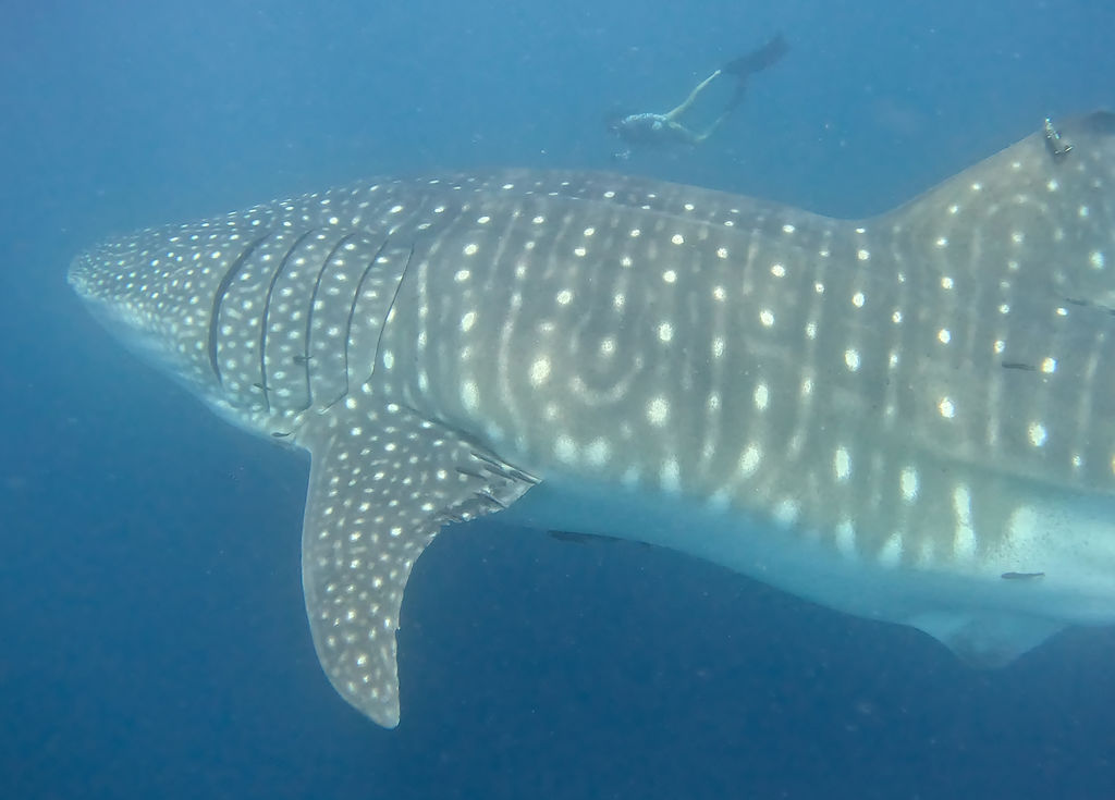 74e8dd16-2766-4571-bff0-6c7614a556f3