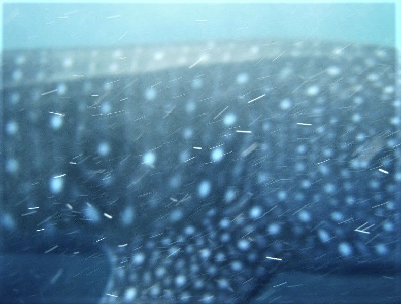 0be9e296-c920-4101-90a4-c7ccc538d030