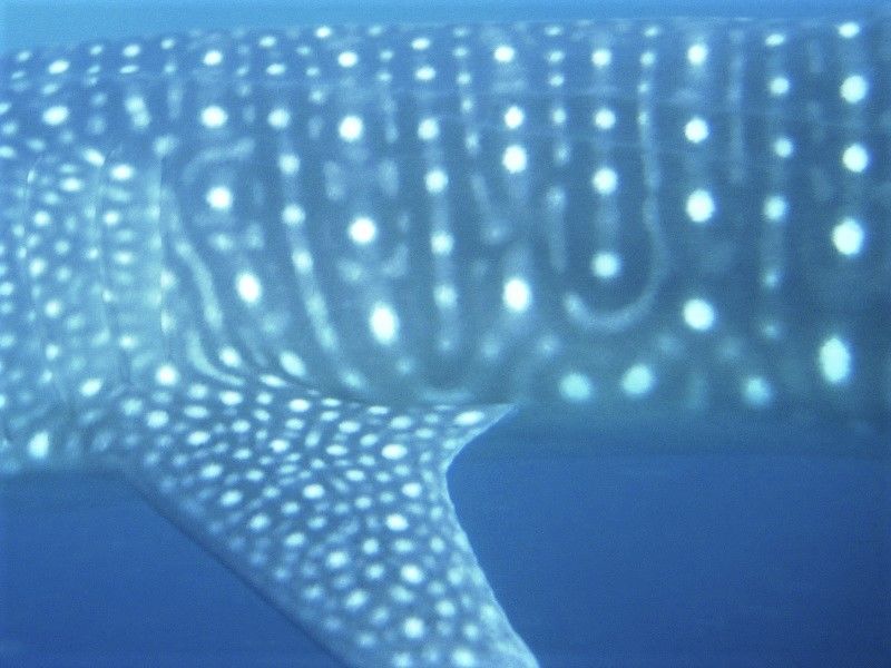 0be9e296-c920-4101-90a4-c7ccc538d030