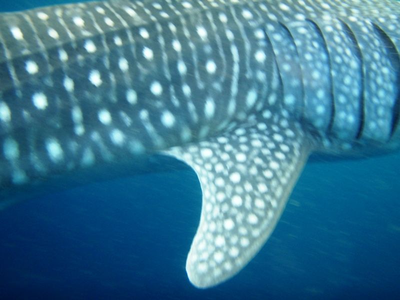 2547a662-908f-48c3-8760-68a2e5003ac2