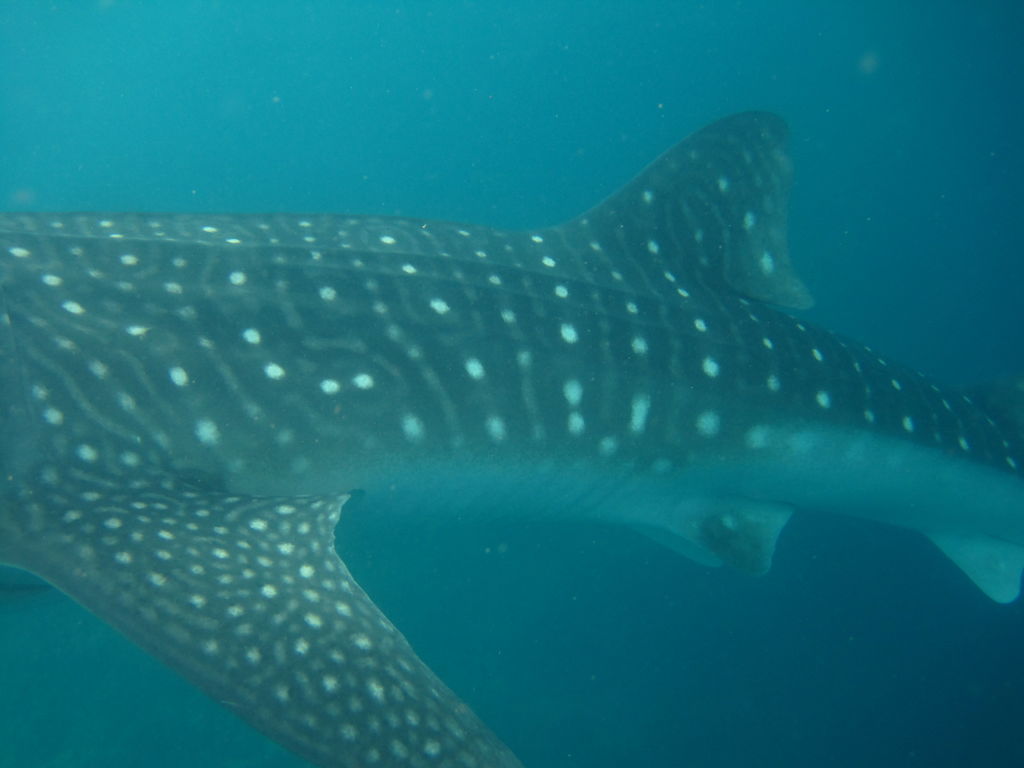 17eb045d-7576-4554-9883-5b6c3b88385e