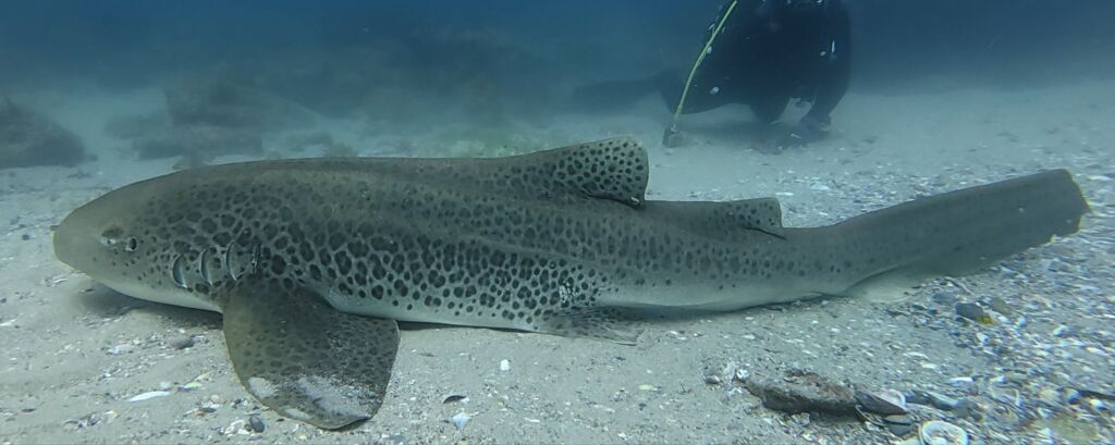 3a0349fb-672b-4029-842c-7262abd4d234