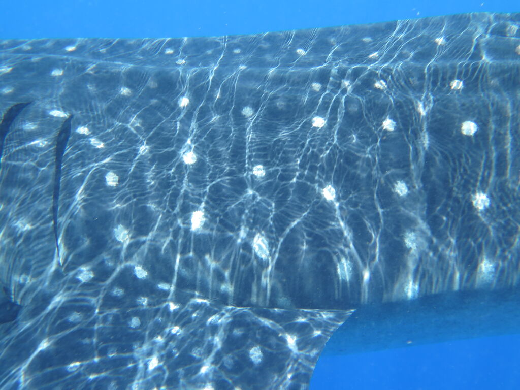 f1bdb33c-89fa-4a1c-b3cf-cec18b2caa25