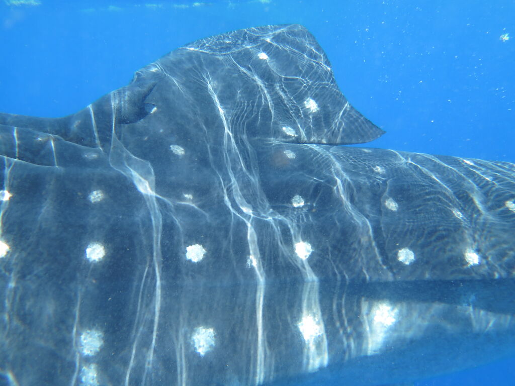 f1bdb33c-89fa-4a1c-b3cf-cec18b2caa25