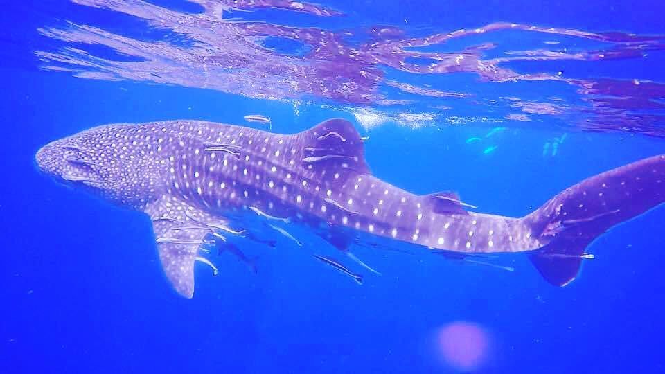 df3c167b-45a4-40bc-99cd-38c4f6576bad