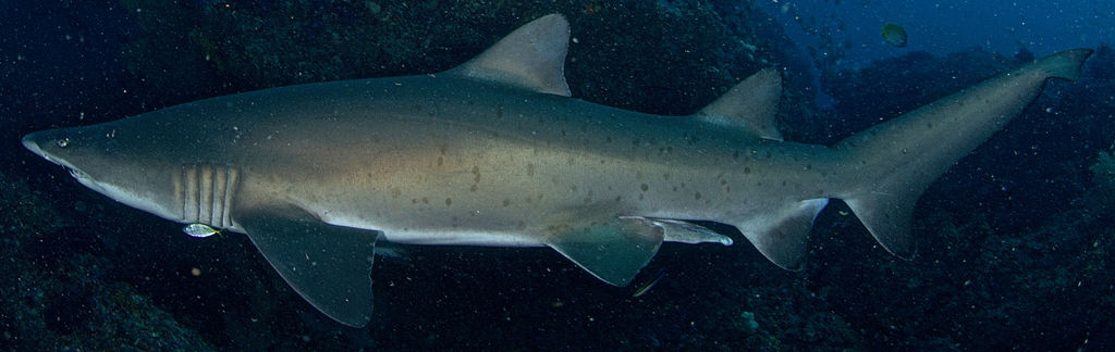 de4d74e2-7d5d-4593-83bd-fe83fcb50368