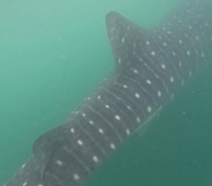 fac77967-5ca3-4035-97f6-f162f4928284