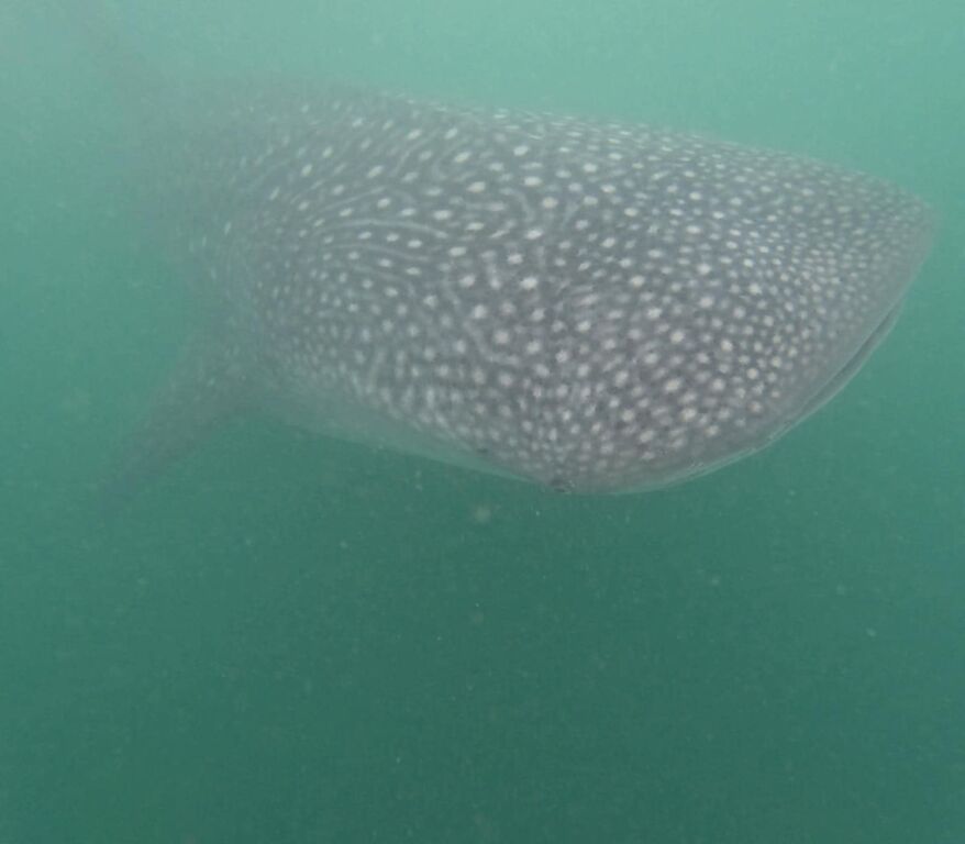 fac77967-5ca3-4035-97f6-f162f4928284