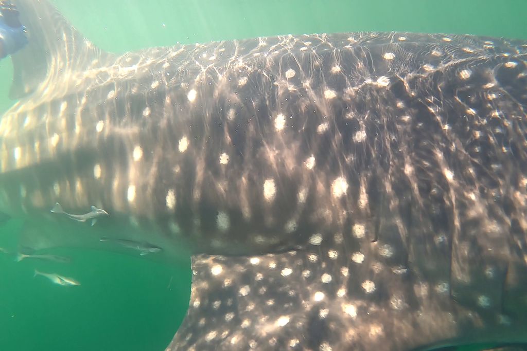 824ceea1-6faa-4968-b5a1-d580d3c73938