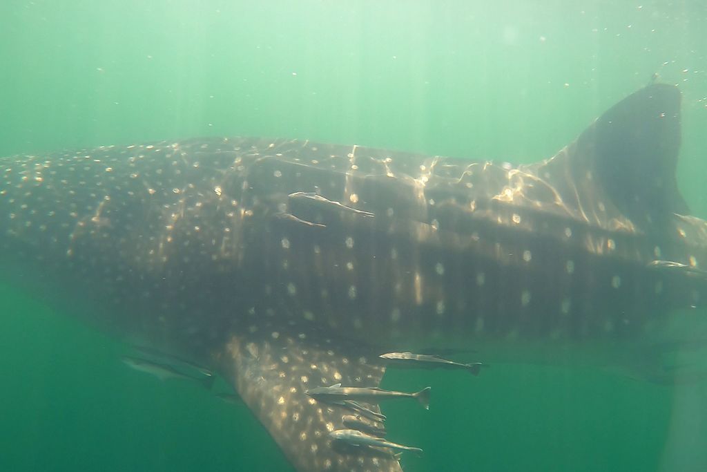 824ceea1-6faa-4968-b5a1-d580d3c73938