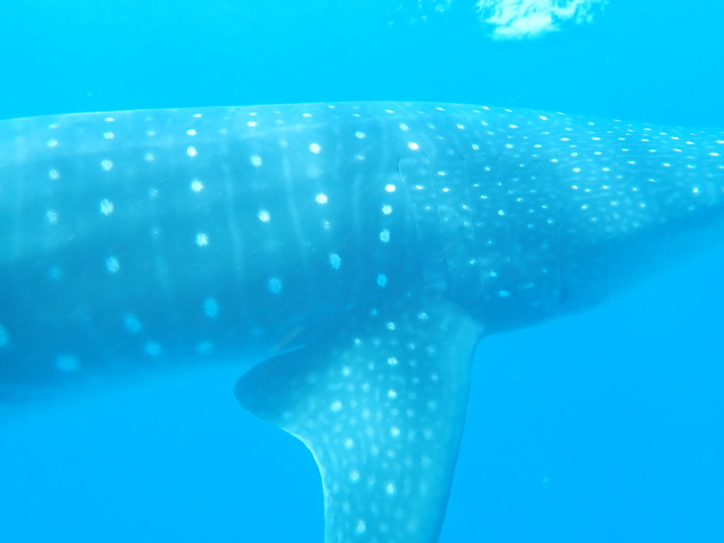 2b561298-98a6-41f8-be73-899f4edeb395