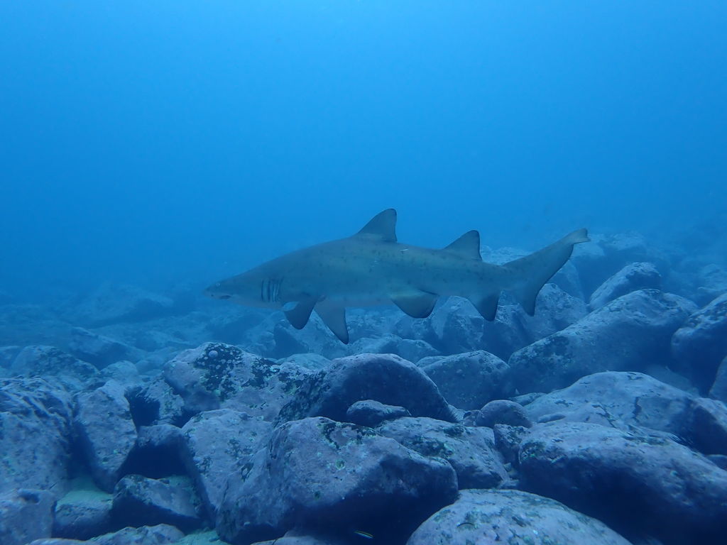 a05b2a76-48e5-4dd9-9b61-3dbc46e10d5b