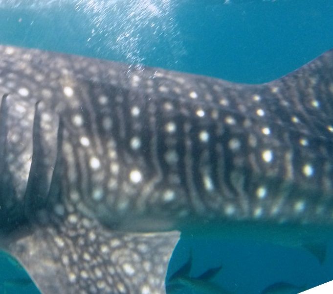 ad05f91d-ff54-47b5-b8b0-51d4800c0ea4