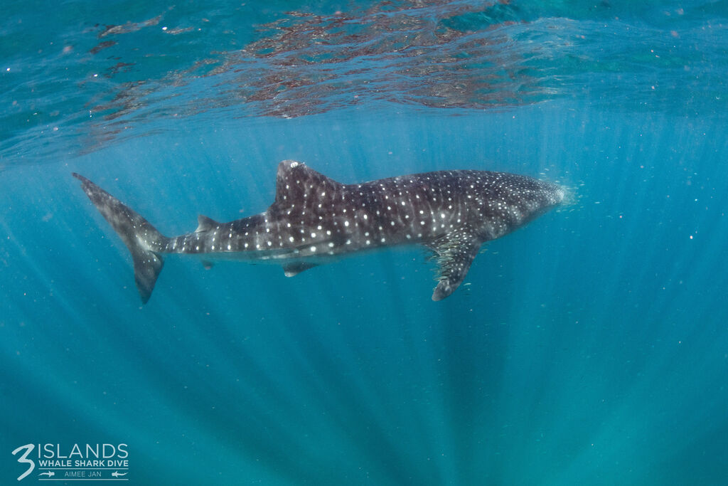 79bb6ee0-b60b-448f-b322-e0c2c3585fc7