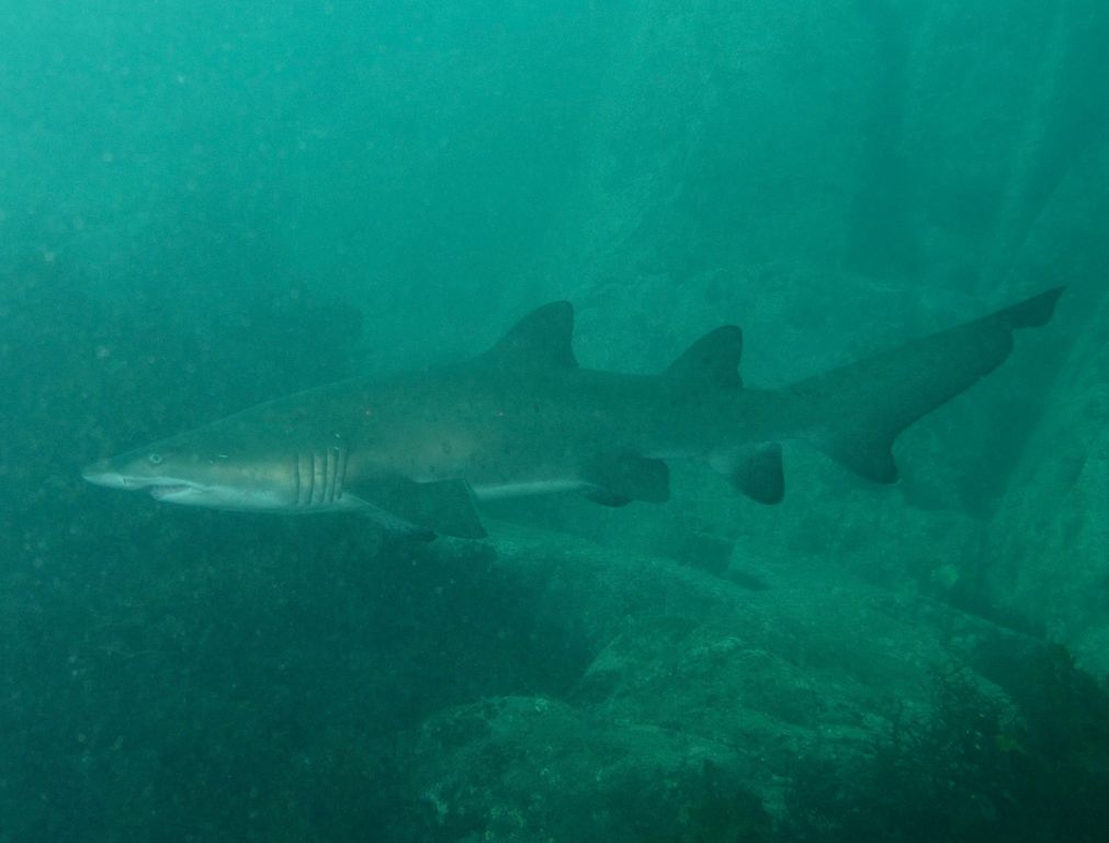 935e30a9-03ad-46ba-8c2b-fcbecbe7e417