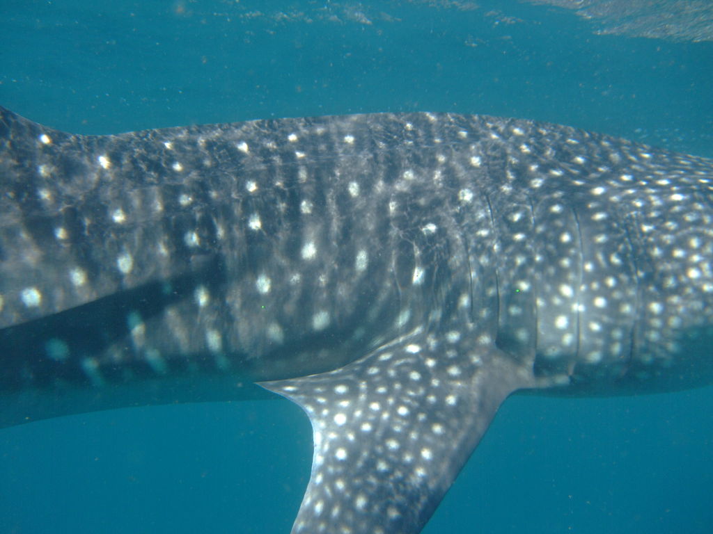 5a71739f-5d90-4175-a2ca-1d7d0717b936