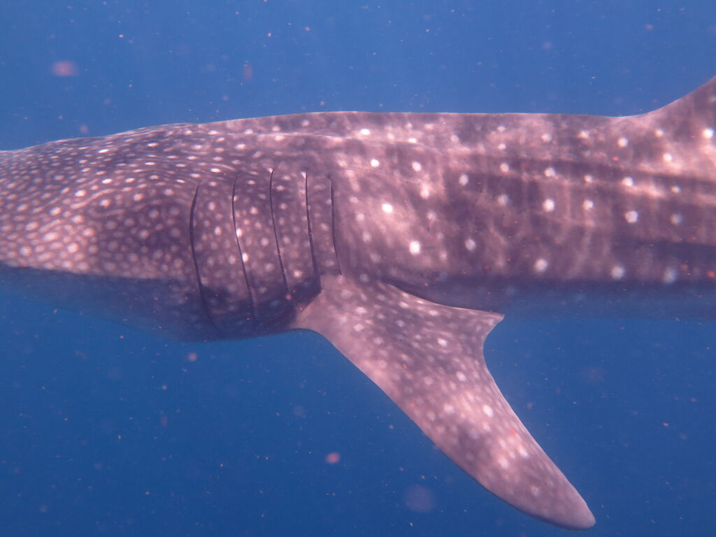 4f0598f7-b08f-415e-8d85-21cf5c75d485