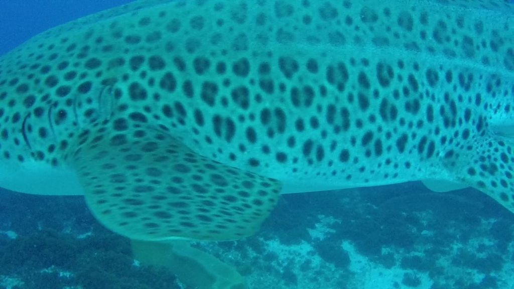 9eb2221a-709e-43d0-81b9-3ae6fc30a12d