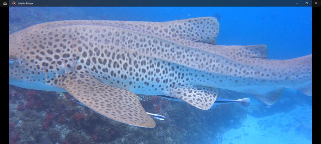 e83d8927-5f38-4244-9db9-b236159b10fa