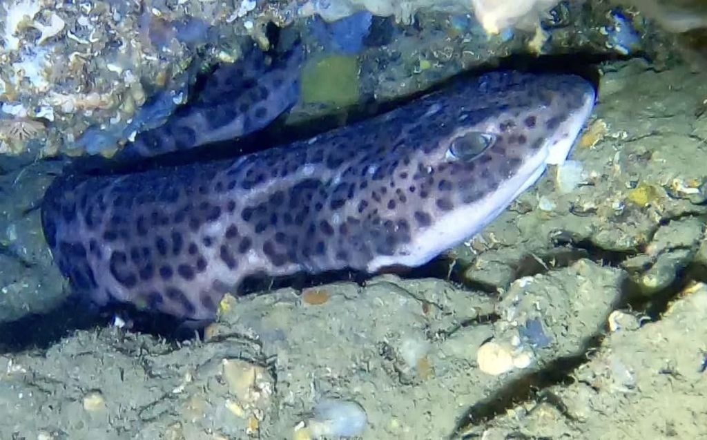 021b3d33-9215-4c67-98e3-5d4fe8a0878f