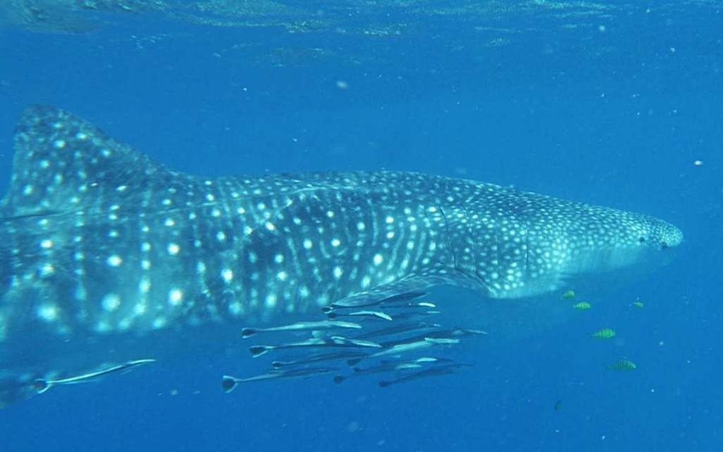 b9f2a2df-72df-40f1-85d9-d935be4431b0