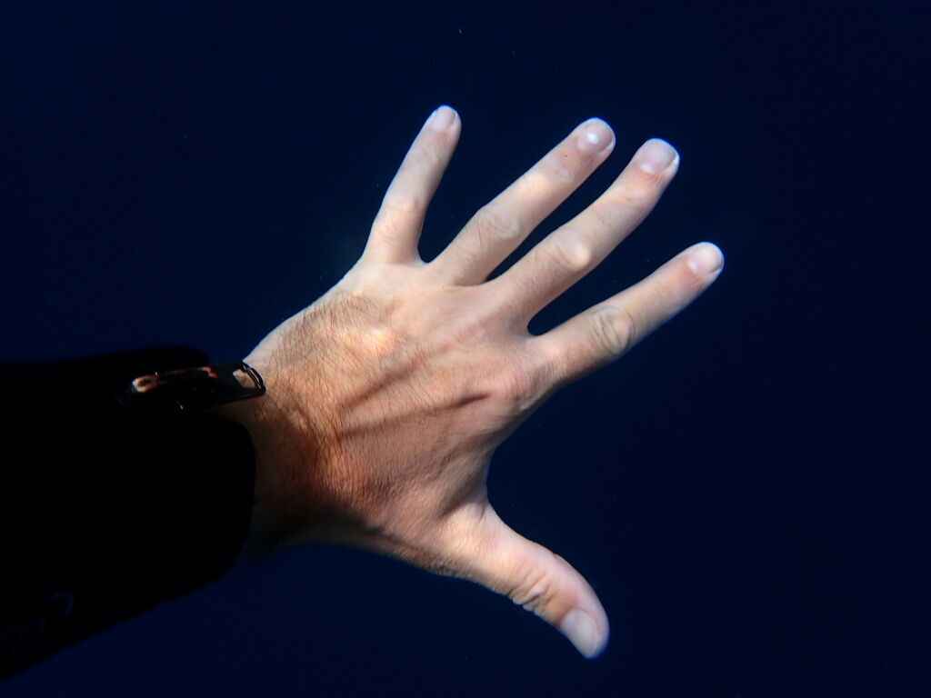 41c5f1d6-026e-45b3-9bd9-d0f8ba6ebbbf