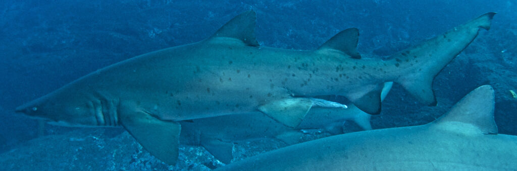 548f8ab6-4860-4f81-9125-27c25baed67f