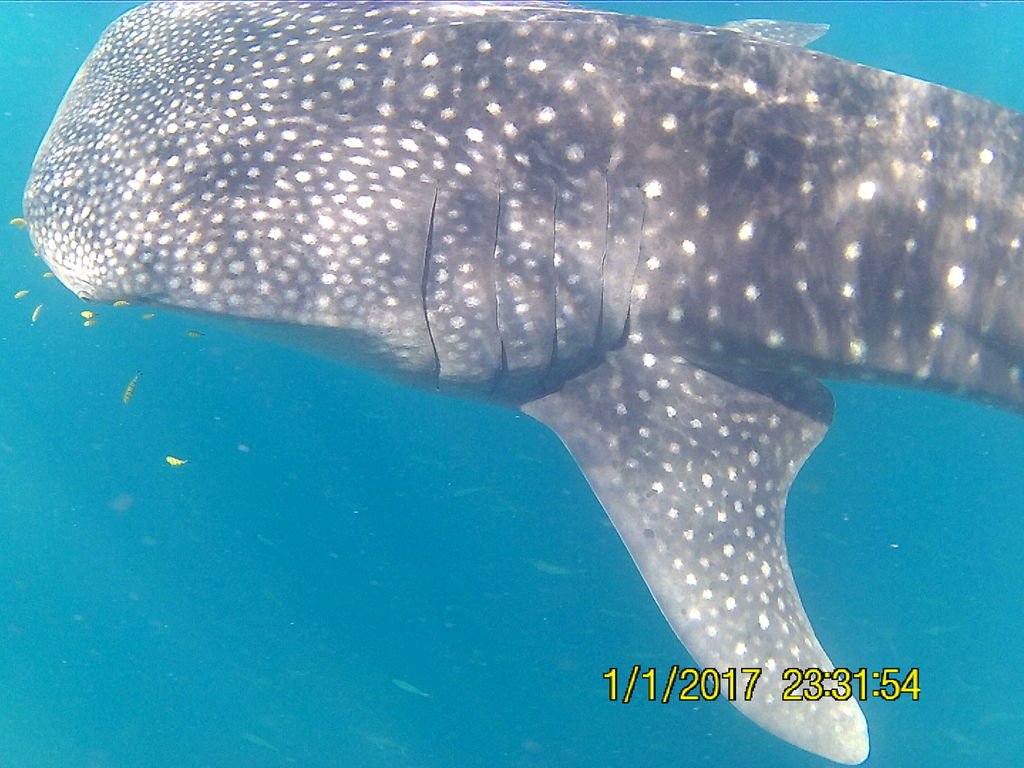 4a5cf9cb-3473-400b-b15c-846fac8198d3