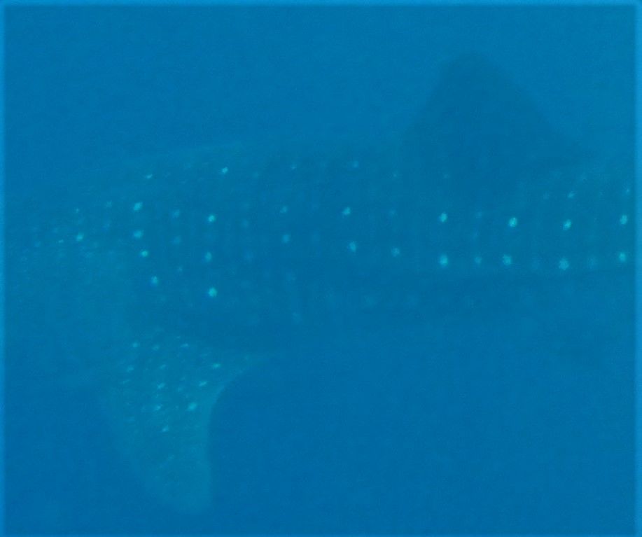 e6ee51bf-670f-4559-ad10-ee9310f7b293