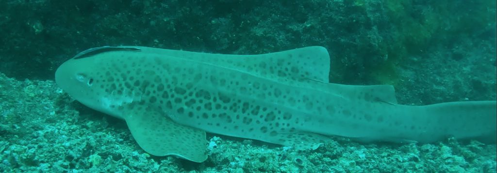 b25aff00-df34-4679-b664-e3e53940e4ab