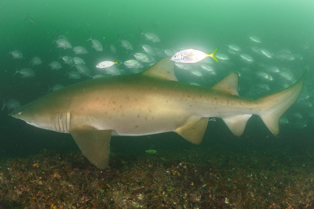 c48e6fd9-45e5-4dfd-a06c-85dcecdbe167