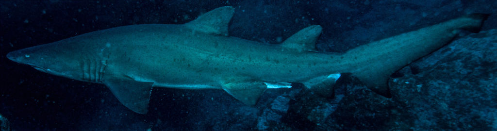 7d40b175-7c15-4cfb-835c-af62042b05b7