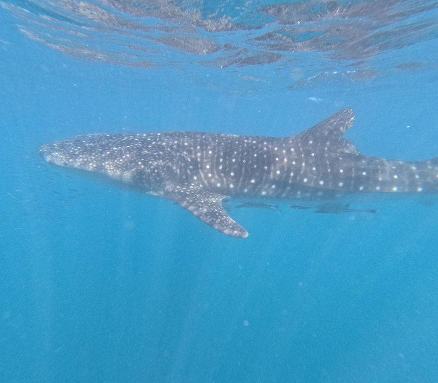 b0194162-9f8b-4951-8e26-00e7b695aee6