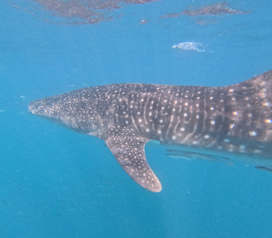 b0194162-9f8b-4951-8e26-00e7b695aee6