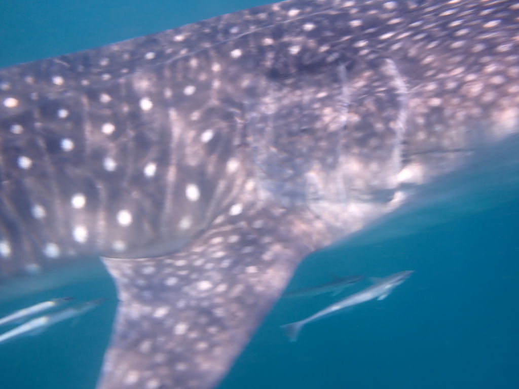 b6bfb35e-4324-47a8-828e-5e355c596cf2