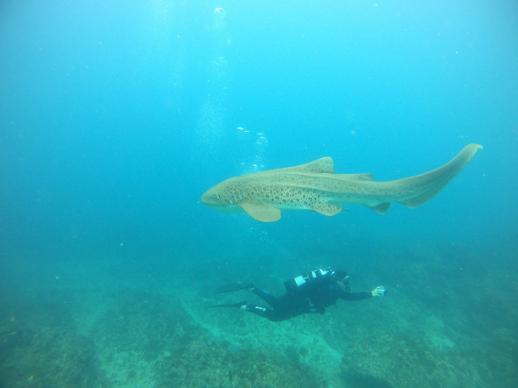 411dba64-e6ef-40b2-abfd-98569705f102