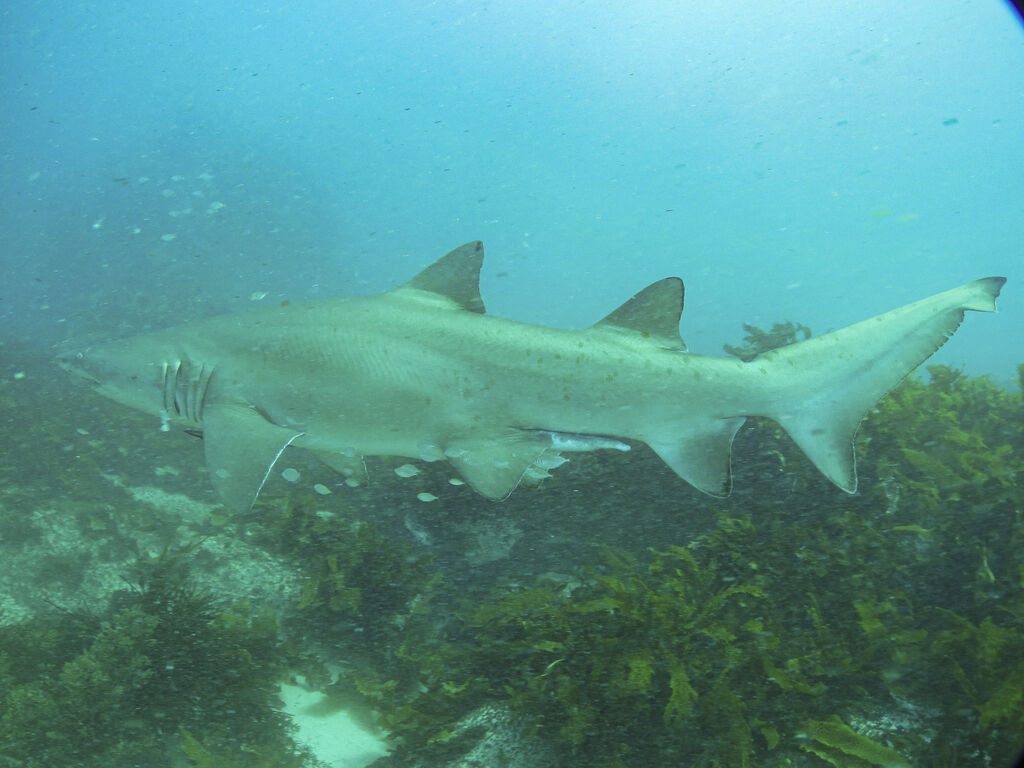 18b85bbf-be81-4706-8ef2-dae993b2042c