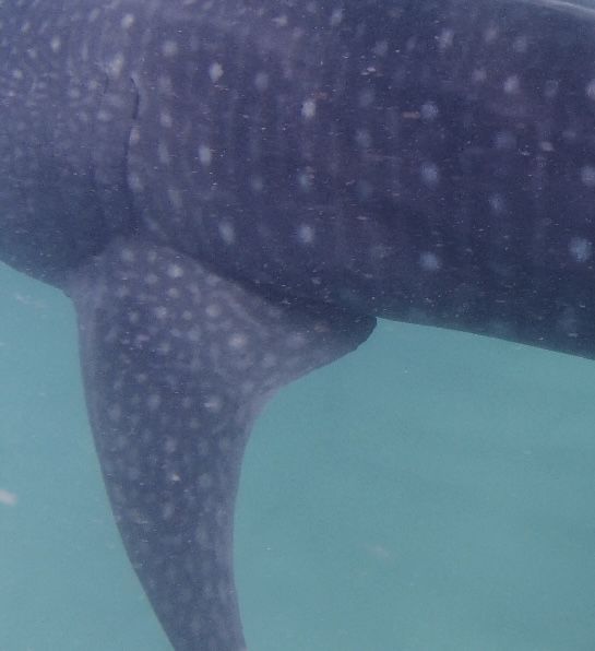 05918b6c-5410-44d1-93a6-80787d232970