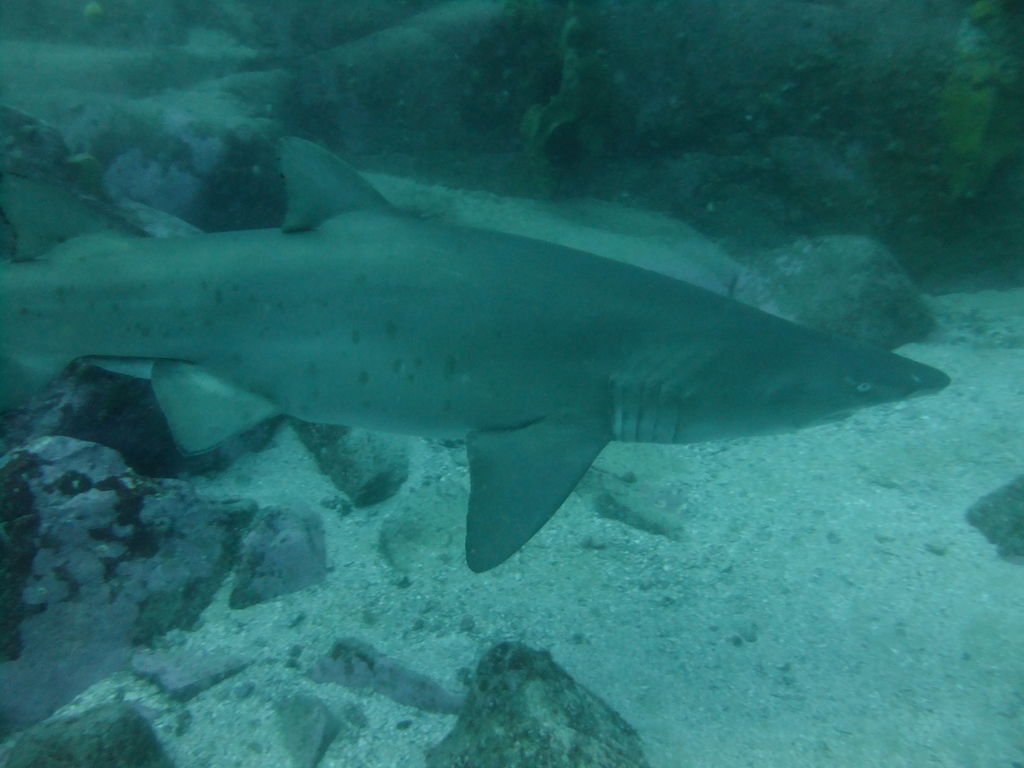 491aef20-dfec-488c-a3a8-764b95677935