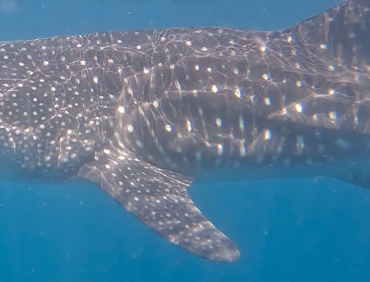 23fbb8fe-6394-4c08-885d-3c34eec2582b