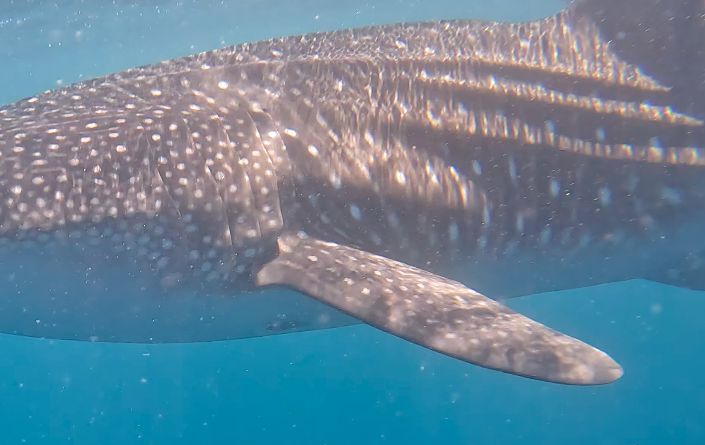 23fbb8fe-6394-4c08-885d-3c34eec2582b