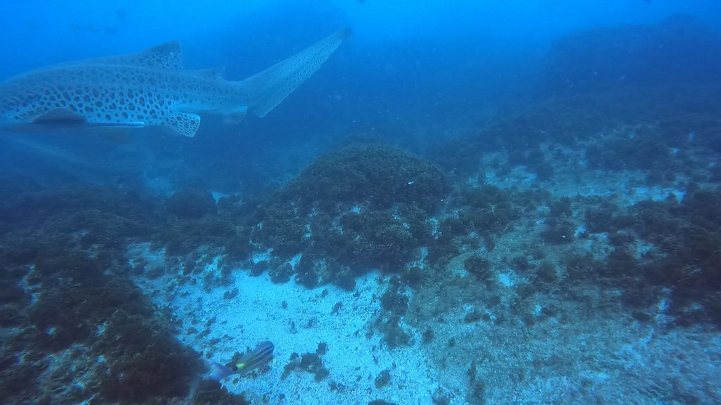 34d9b194-5317-4174-a80a-30e658b7f444