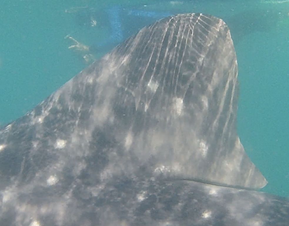 01efe16d-3ff1-4509-b5e1-a9d9cfbb977a