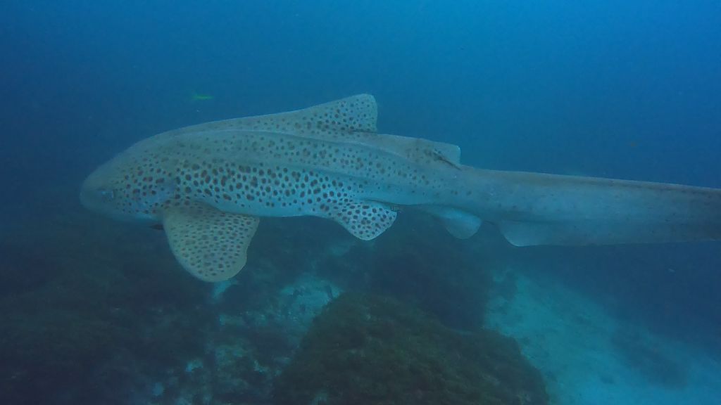 84bc55d0-b71f-4201-914f-e5893449a51e